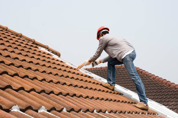 Best Steel Roofing  in Meridian, TX